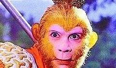 网友爆料猴哥事件真相视频,网友爆料真相视频曝光