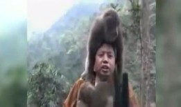 爆料时间猴子视频播放